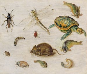 Estudio de insectos, criaturas marinas y un ratón de Jan the Elder Brueghel